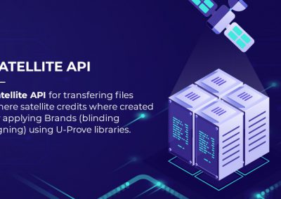 Satellite API for file transfer